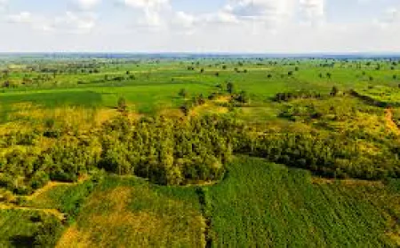 Rebalancing nature through sustainably managed land restoration