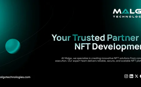 Best NFT Development Company for End-to-End Web3 Solutions