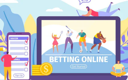 Understanding How Bettors Navigate Today’s Online Landscape