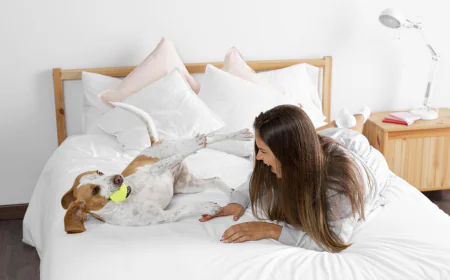 Host Successful Meetings in a Modern Hotel Conference Room