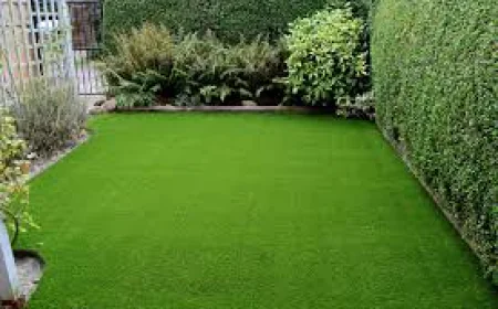 5 Modern Hardscaping Ideas to Transform Your Auckland Garden