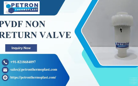 Engineered PVDF Non Return Valve for High Pressure Systems