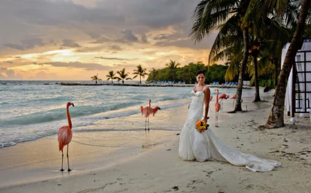 What Makes Aruba Photographers the Best for Island Shoots?