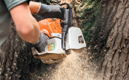 Smart Tree Care in 2025: The Expert Guide to Tree Trimming, Tree Removal, and Tree Pruning for Urban Resilience