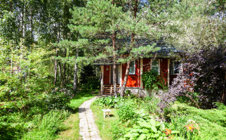 The Complete Expert Guide to Stump Removal and Stump Grinding Services