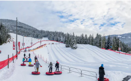 Winter in Whistler: Best Taxi Rides to Try