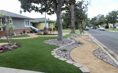 How to Choose the Best Artificial Turf for Dogs: Key Features to Look For