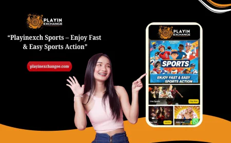 Playinexch Sports – Enjoy Fast & Easy Sports Action