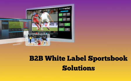 What Are B2B White Label Sportsbook Solutions? A Complete Guide for 2025