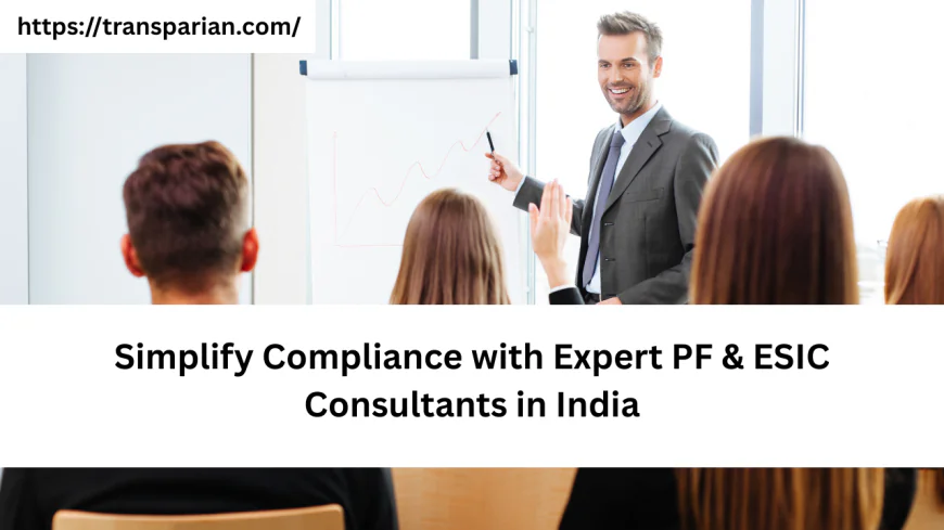 Simplify Compliance with Expert PF & ESIC Consultants in India