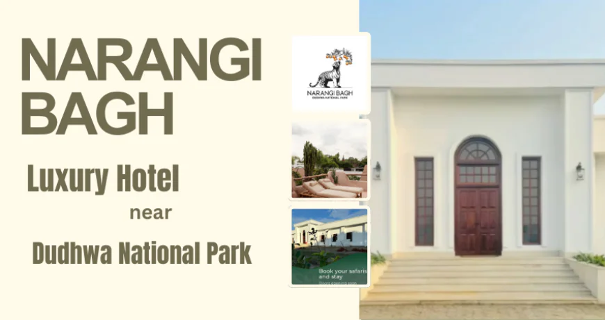 Top Reasons to Choose Narangi Bagh – A Luxury Hotel near Dudhwa National Park