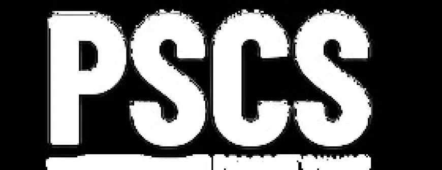 What Makes Perfect Swing Custom Sims the Ultimate Golf Simulation Experience?