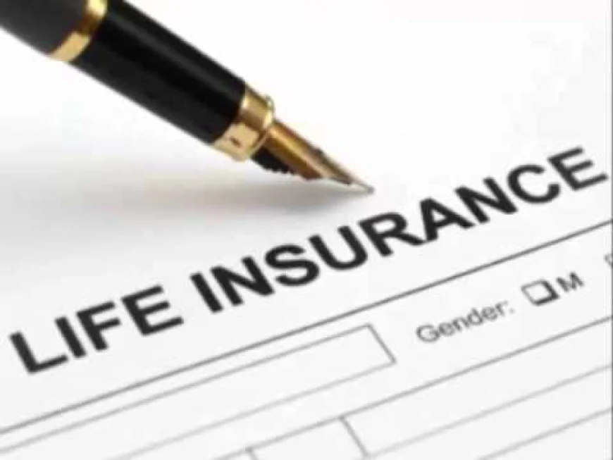 Protect What Matters Most with Affordable Life Insurance