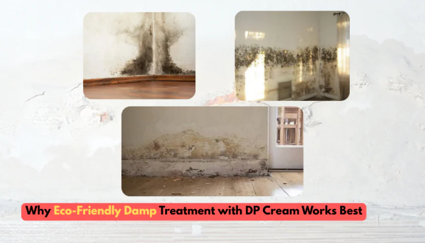 Why Eco-Friendly Damp Treatment with DP Cream Works Best