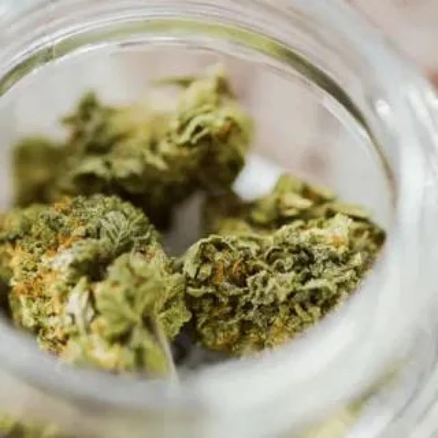 How Cannabis Dispensaries Ensure Quality and Safety in Every Product