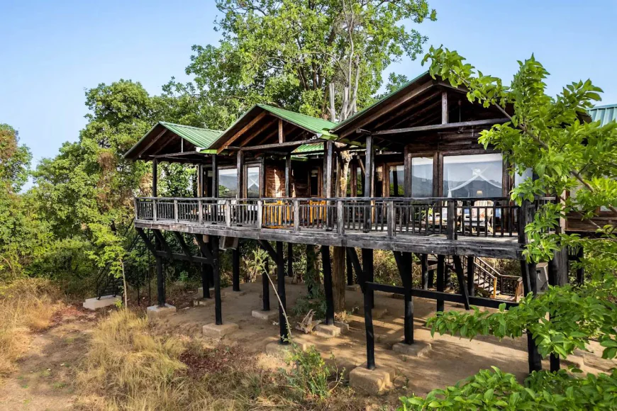 Why Eco-Luxury Matters: How Modern Lodges in Satpura are Redefining Nature Travel