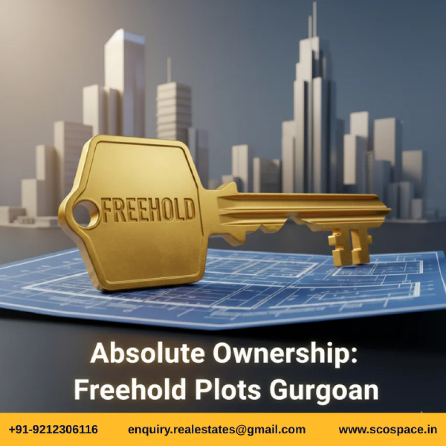 Freehold SCO Plots Gurgaon Perfect for Entrepreneurs