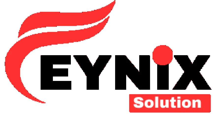 Empowering Digital Growth with Feynix Solution