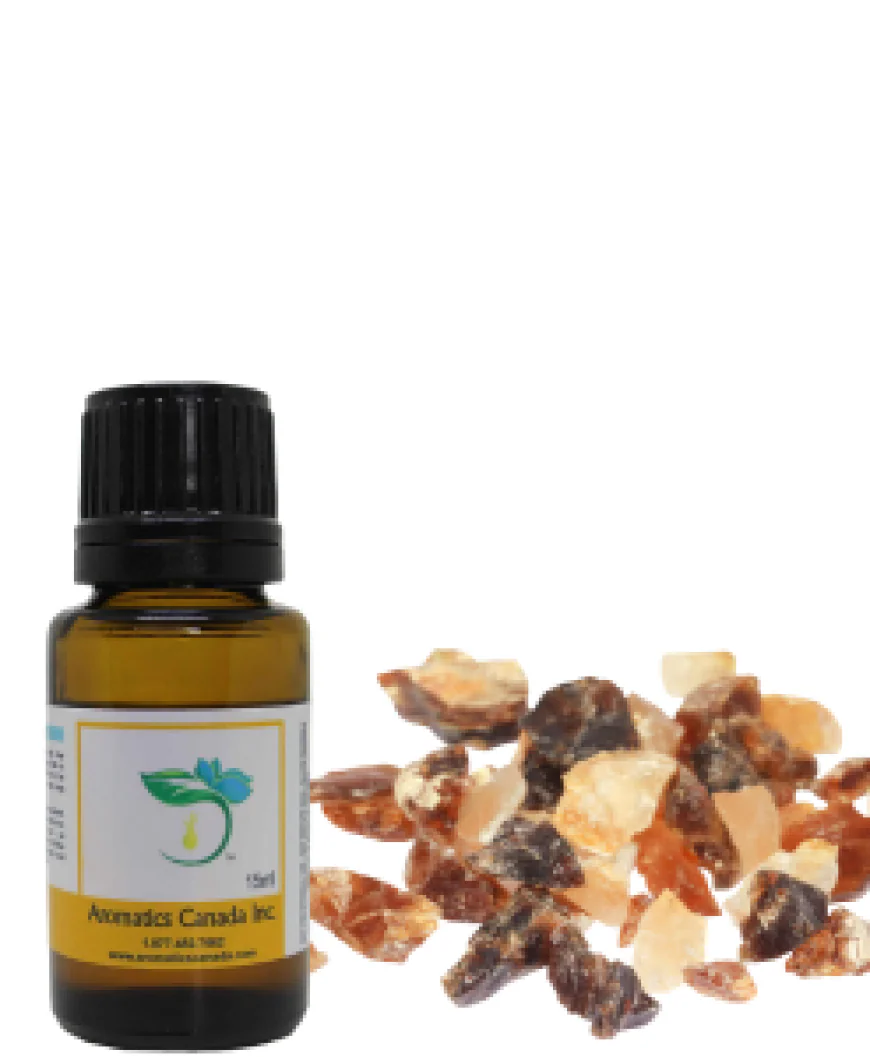 Discover the Benefits of Frankincense Carterii Essential Oil