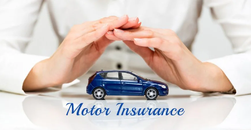 Find the Best Affordable Auto Insurance MN: Protect Your Vehicle and Your Wallet