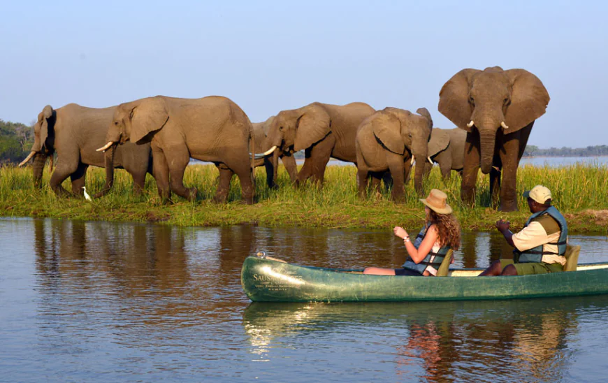 Zambia vs. Botswana: Which Safari Destination Is Right for You?