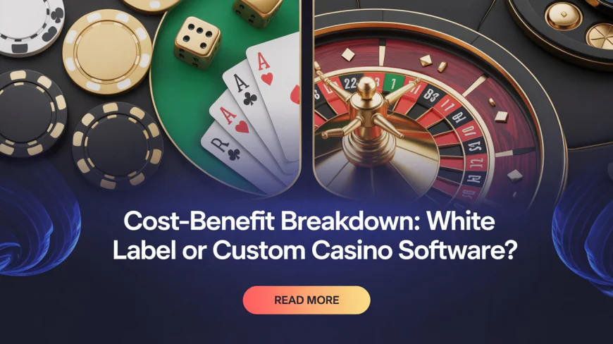 Comparing White Label and Custom Casino Solutions: A Strategic Cost Analysis