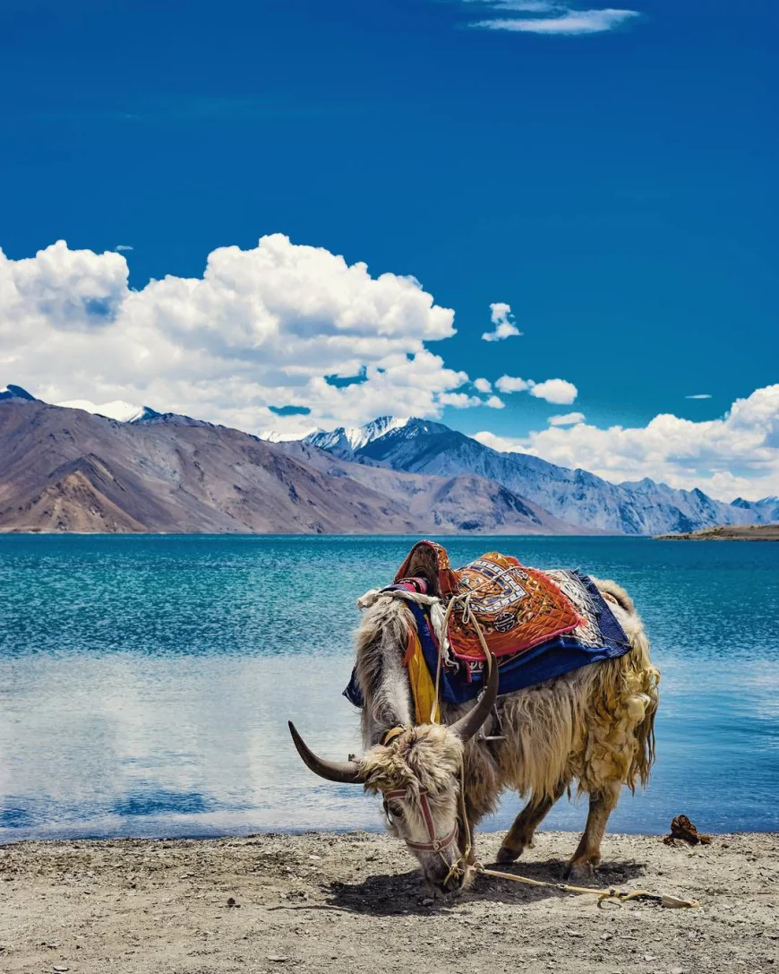 “The Hidden Gem of the Himalayas: Exploring Ladakh’s Beauty”
