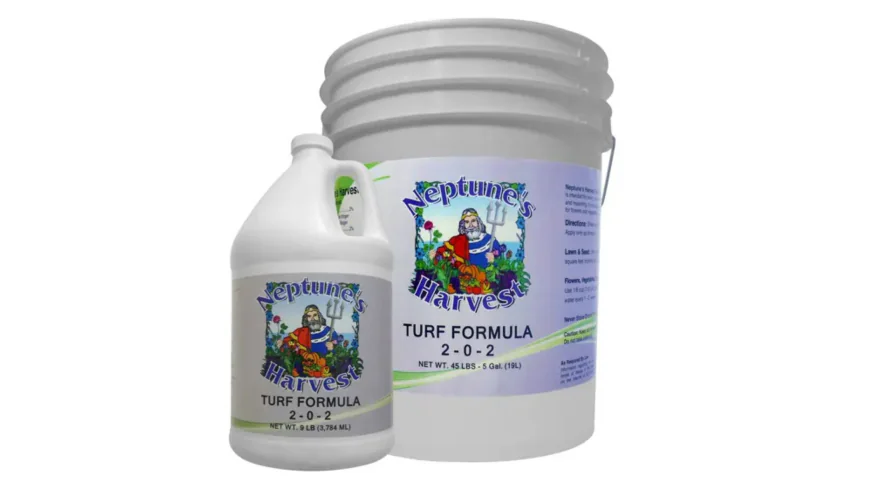 How Certified Organic Fertilizer Supports Long-Term Soil Nutrition?