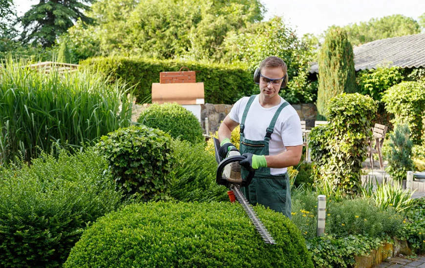 The Best Lawn Care Companies in Vancouver