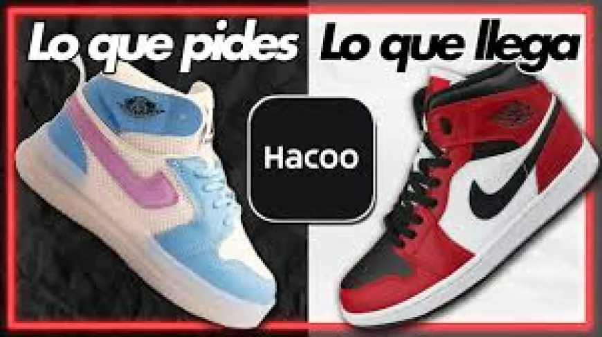 Fitness on a Budget: Gym and Wellness Discounts