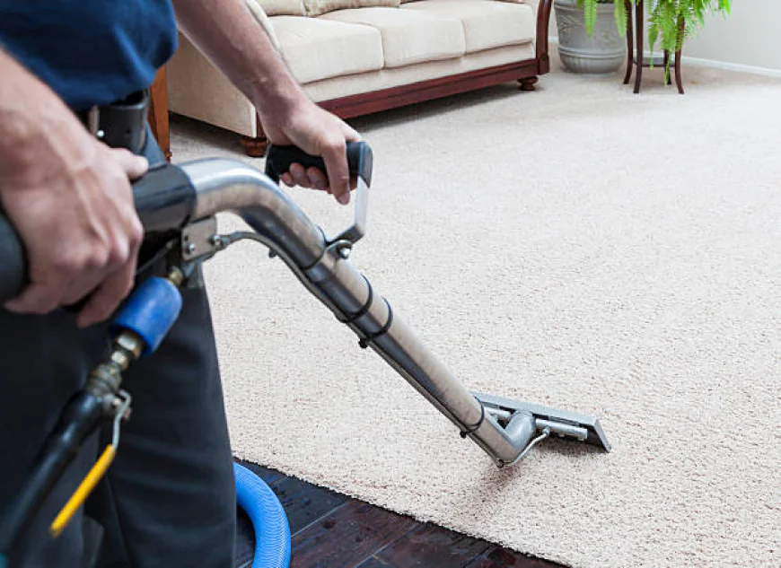 Best Carpet Cleaning Service Fairfax For Fresh & Healthy Homes