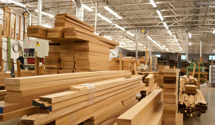 Plywood manufacturing plant cost in India: Cost Analysis and Investment Opportunities