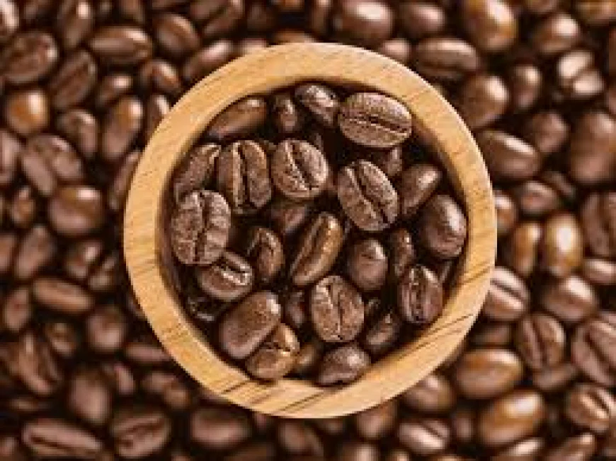 Authentic Specialty Coffee - A Guide to Genuine Quality