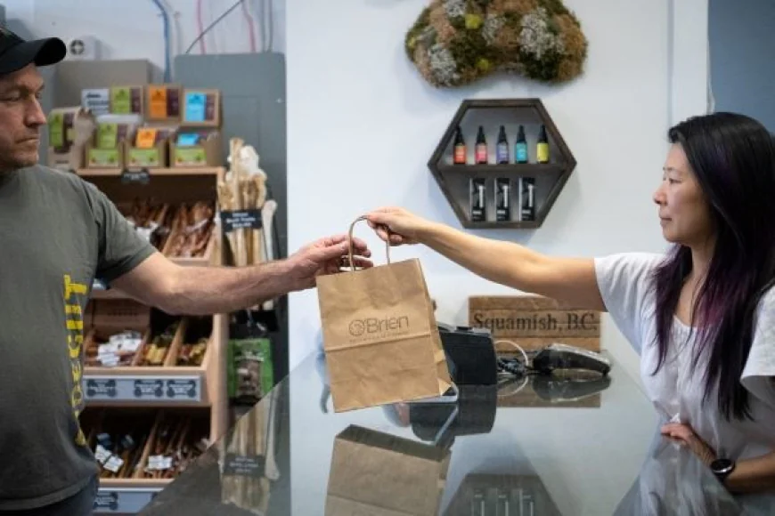 Best Natural Teething For Puppies And Dogs With Allergies Or Without