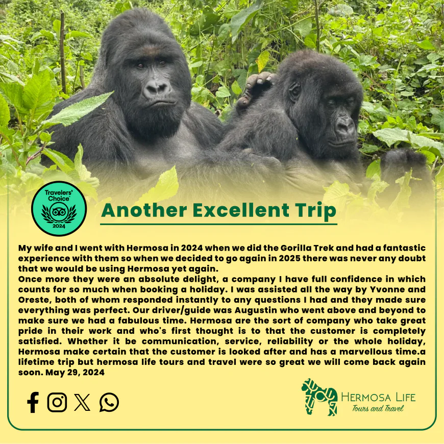 What To Know Before Booking Your Trip To Rwanda?