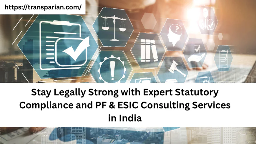 Stay Legally Strong with Expert Statutory Compliance and PF & ESIC Consulting Services in India