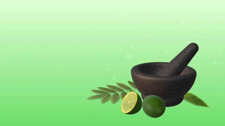 Ayurvedic Insights for Everyday Acidity and Digestive Ease