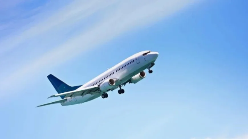 Flighta: Your New Age Partner for Air Travel That Is Easy, Intelligent, and Stress-Free