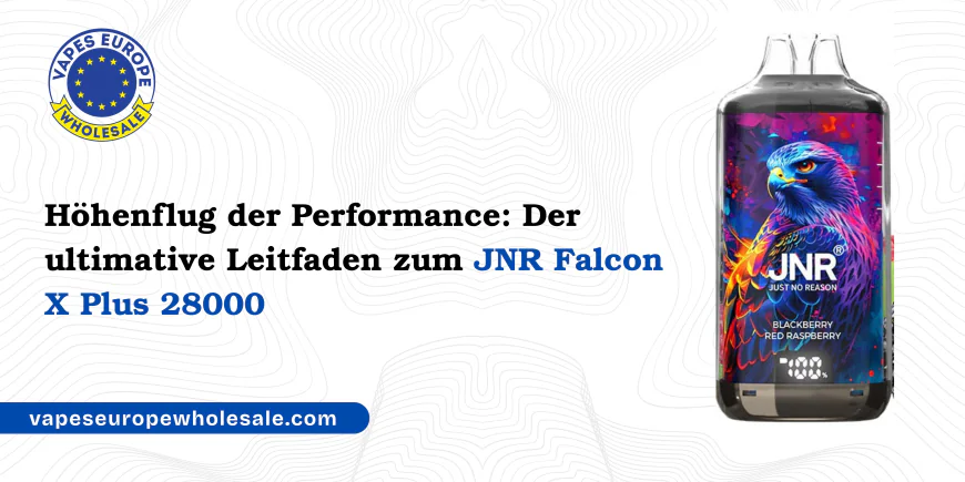 Höhenflug der Performance: Der ultimative Leitfaden zum JNR Falcon X Plus 28000