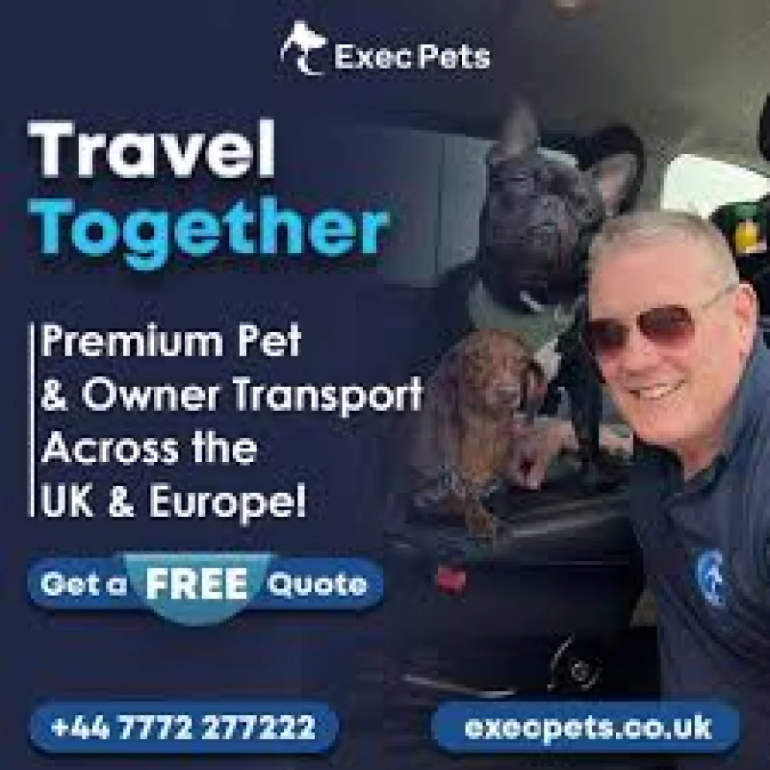 Ensuring Safe & Stress-Free Pet Transport Within the UK: Why Professional Pet Taxi Services Matter