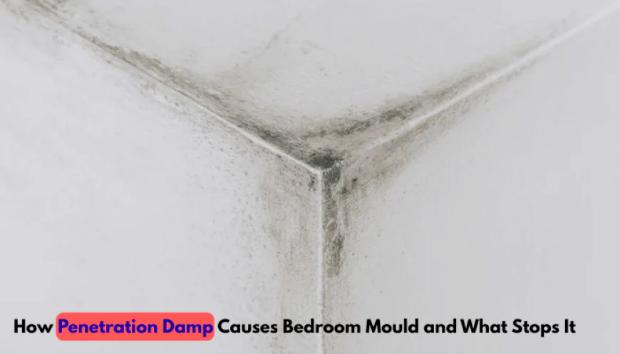 How Penetration Damp Causes Bedroom Mould and What Stops It