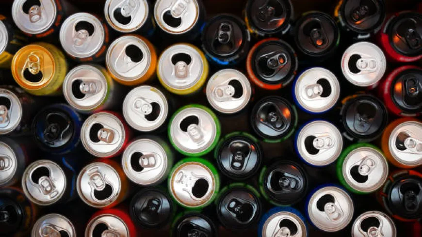 Europe Aluminium Cans Market Share Analysis, Outlook and Development Report 2033