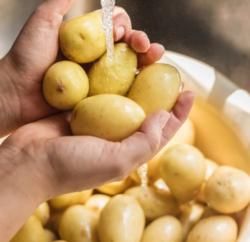 Top Potato Suppliers in Pennsylvania for Year-Round Delivery