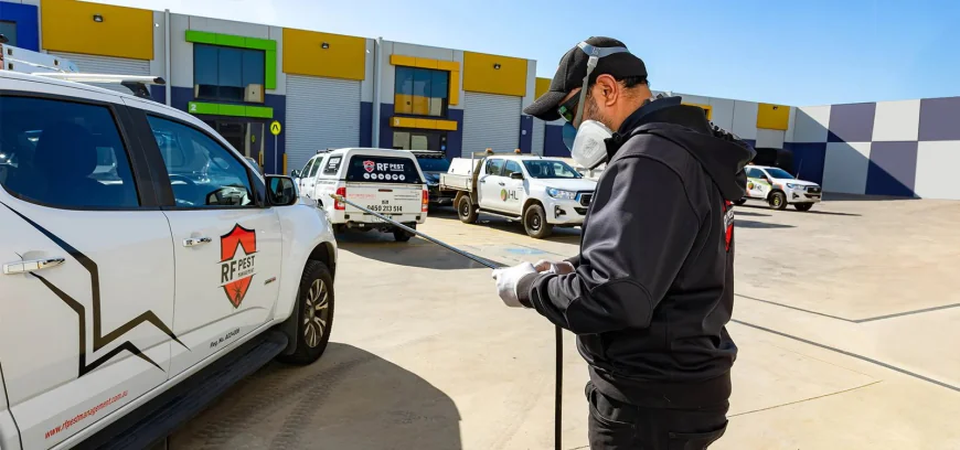 Why Do Homes in Melbourne Need Strong Pest Control Solutions