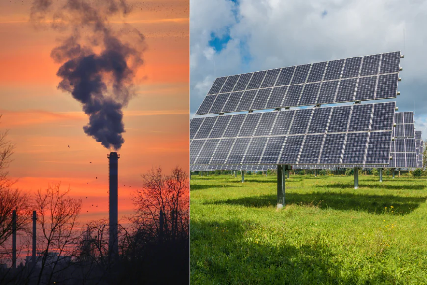 Cost Savings with Industrial Solar Panels: Real Case Studies & ROI