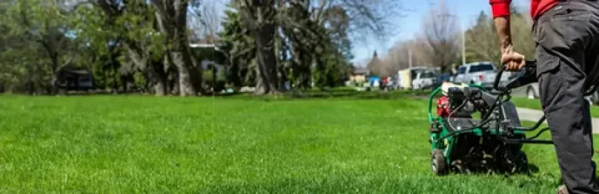 Signs Your Lawn Needs Professional Fertilization Services