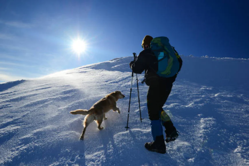 مغامرات الشتاء في بلغاريا