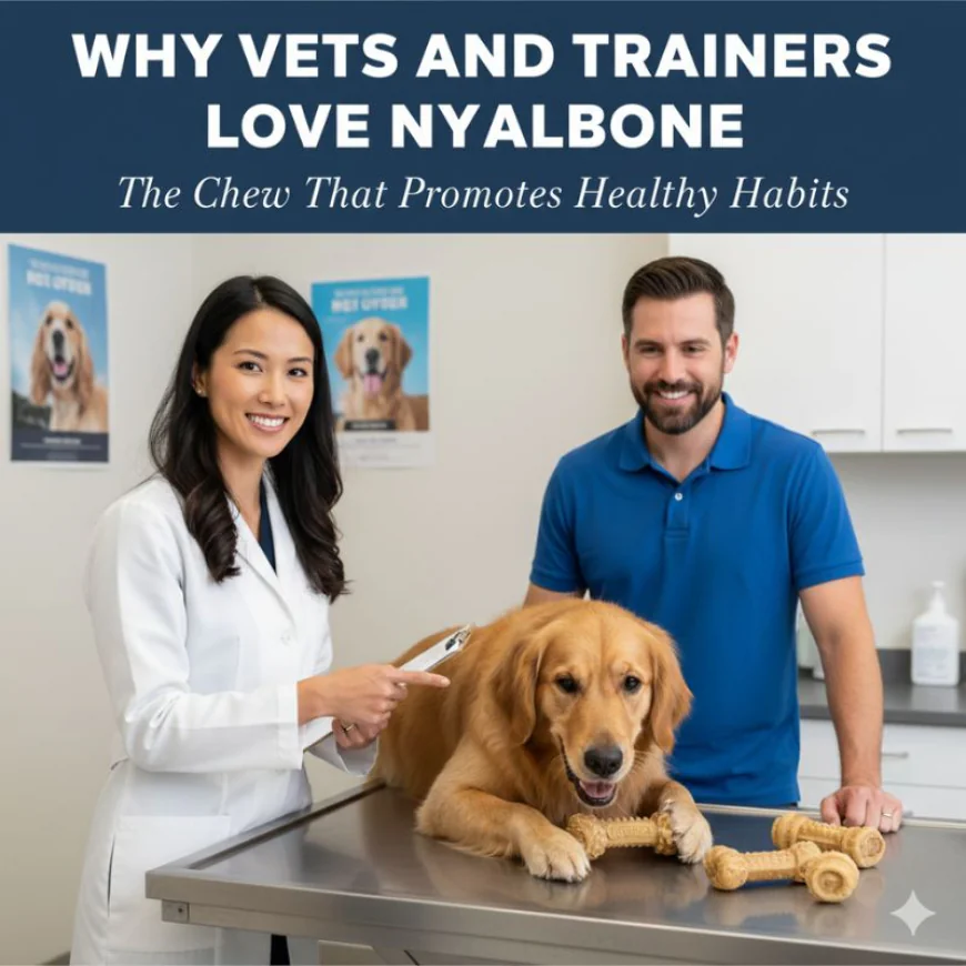 Why Vets and Trainers Love Nylabone: The Chew That Promotes Healthy Habits