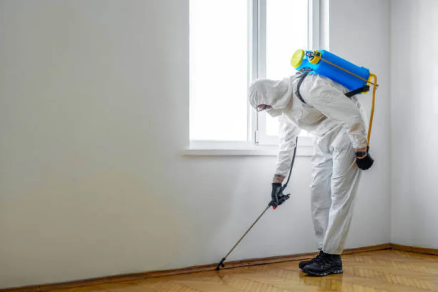 How Can I Choose the Right Pest Control Service in Surrey?