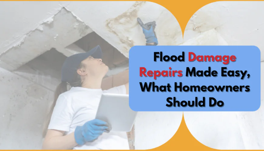 Flood Damage Repairs Made Easy, What Homeowners Should Do